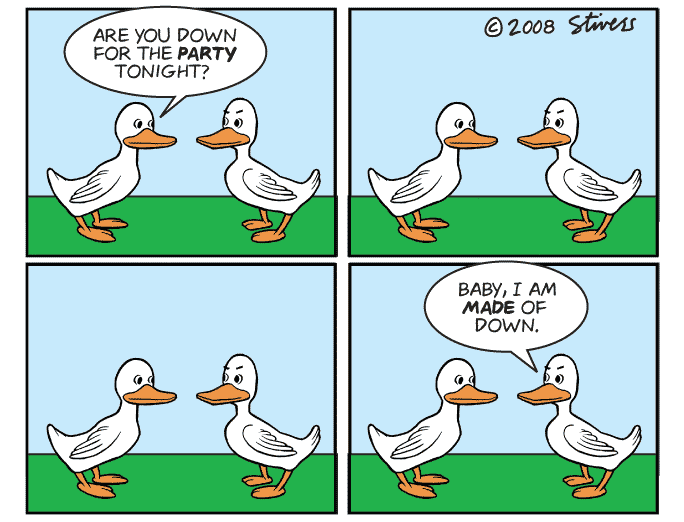 Duck Party